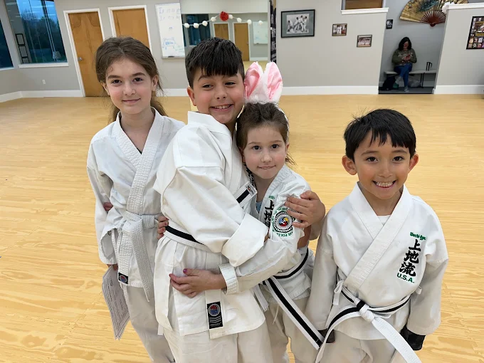 Junior Martial Arts