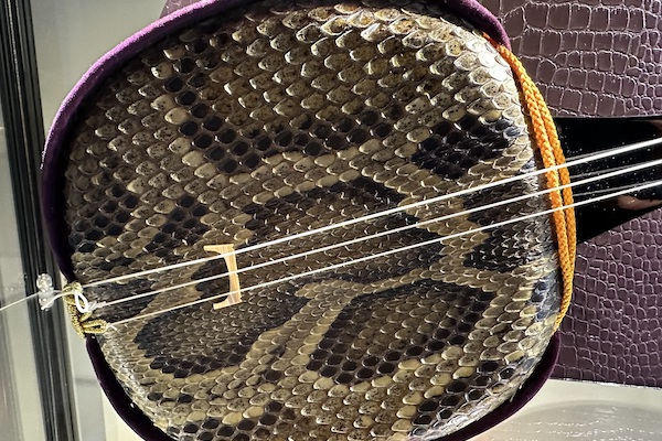 Sanshin traditional Okinawan instrument